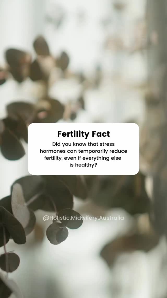 High cortisol levels can interfere with hormone balance, ovulation, and even egg quality - which is why managing stress is such an important part of preparing your body for pregnancy.
The good news? You don’t have to do everything at once!
One simple first step is starting with the right supplements. 🌱
I’ve created a FREE guide with the 5 supplements I recommend to all my clients
➕ plus a shopping list with up-to-date links so you know exactly what to buy 🛒
✨Grab your free copy in my bio link!
#preconceptioncare #naturalfertility #infertility #holistichealth #preconception #fertilitysupplements