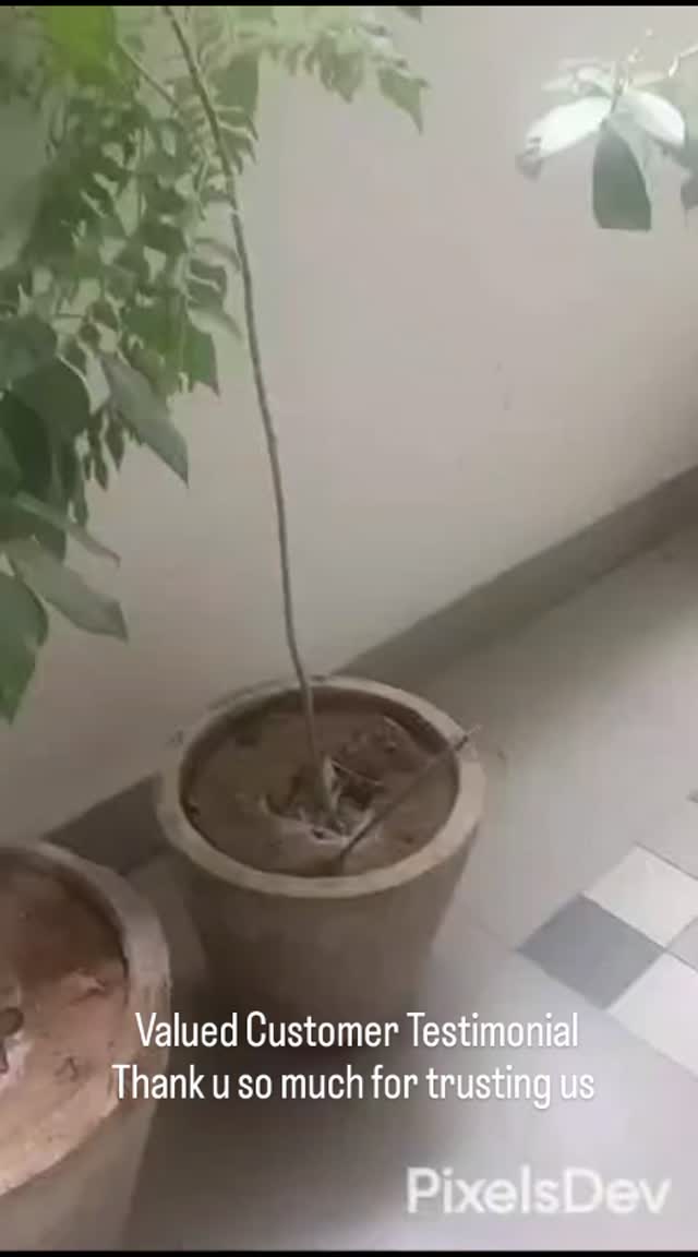 🌿 Saddmaarg Celebrates Its First Anniversary 🌿
Elevate Your Spirit — Naturally.
One year ago, Saddmaarg was founded with a simple yet powerful purpose:
To reconnect people with nature through pure, chemical-free products that heal, nourish, and uplift — in body, mind, and spirit. Every product we craft is rooted in our core values: Purity with Purpose, Sustainability, and Holistic Well-being.
Today as we celebrate our first anniversary, we’re filled with gratitude, love for everyone who has been part of this journey.
This milestone is not just about us; it's about the trust of our clients, the support of our community, and the impact we've made together. Here are a few kind words from those who’ve experienced the Saddmaarg difference.
#SaddmaargTurnsOne
#OneYearOfSaddmaarg
#SaddmaargAnniversary
#365DaysOfSaddmaarg
#SaddmaargMilestone
#SaddmaargSuccessStory
#SaddmaargCelebratesClients
#SaddmaargWithYou
#TogetherWithSaddmaarg
#Saddmaarg1YearStrong
#SaddmaargAndBeyond
#MadeInIndia
#CelebratingSuccess
#StartupIndia
#BuildingTrustWithSaddmaarg
#ServingWithIntegrity
#TrustedWithPurpose