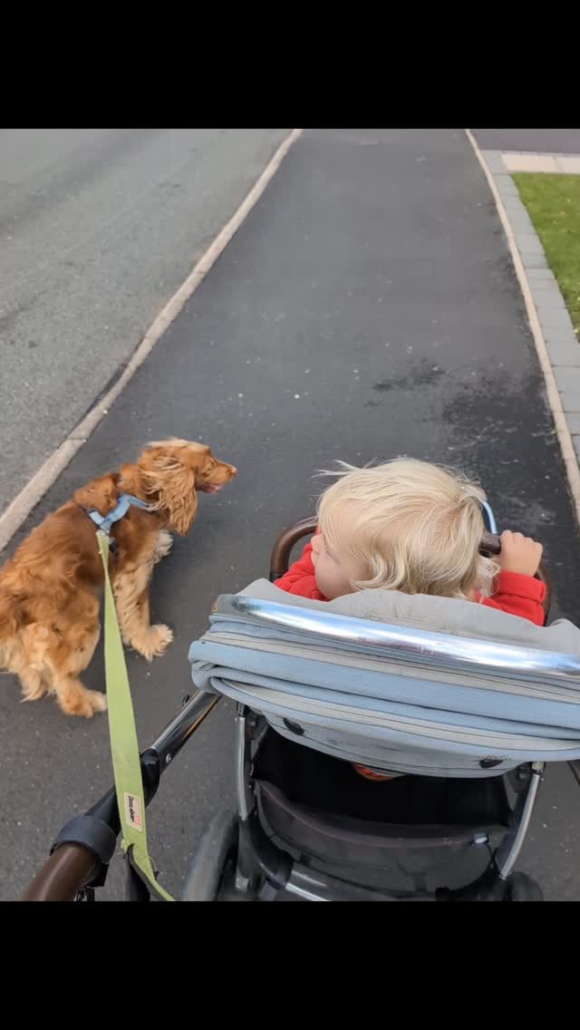 The first Friday just the two of us now his big brother has started school. Soaking it all up because I know I'll blink and he'll be at school too 💛
#boymomlife #backtoschool