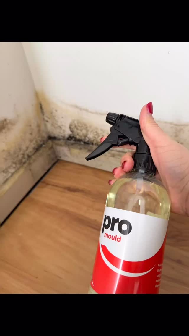 Hi!! I just finally got my hands on this product… Pro Mould.
When I decided to give Pro Mould a go. From the moment I started using it, I could tell it was different this isn’t just a surface cleaner, it’s designed to target mould at the root so it doesn’t just come back in a few days
@cleanlikeapro_ I love it guys!
#cleaning #cleaningservice