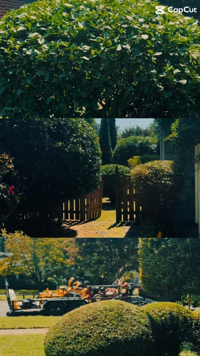 #lawncare #huntsville #landscaper #huntsvegas #bushtrimming