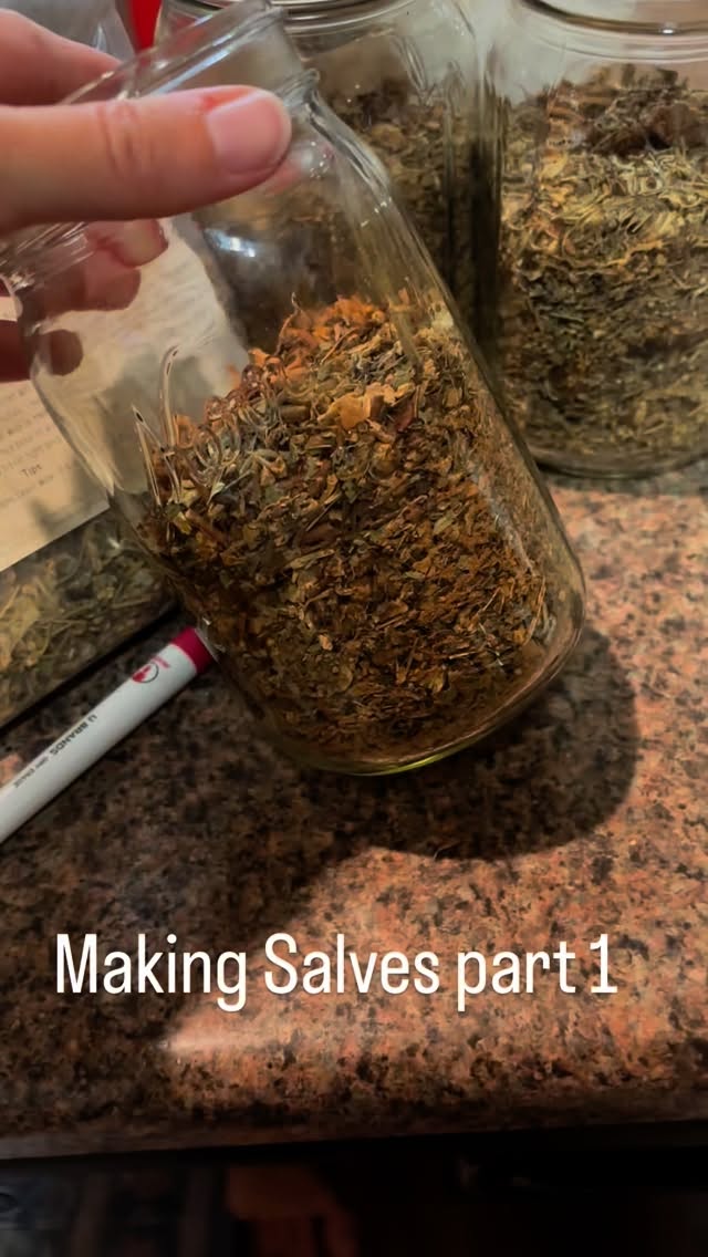 Making 3 different kinds of salves.
Fill the jar 2/3 full of herbs and cover with quality olive oil or coconut oil. Crockpot on low for 3 days in a water bath. Then comes the next part.
I am making a salve for Arthritis, muscles aches/bruises and one for burns/boo-boos.
#herbalsalve #plantmedicine #naturalwellness