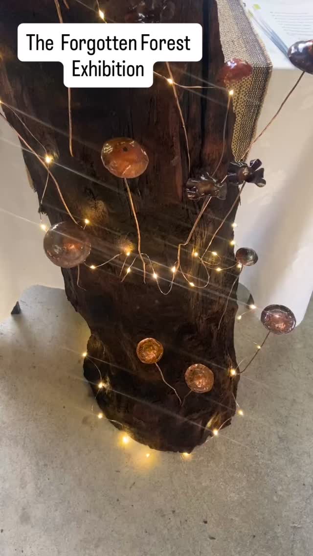 The Forgotten Forest by Destine & Nathan Hull has officially opened at @sculpturepark_arboretum
Some absolutely stunning pieces of art and jewellery to choose from - on until 27th October but get in quick to secure your special piece.
#artinnature #sculpturepark #nzmustdo