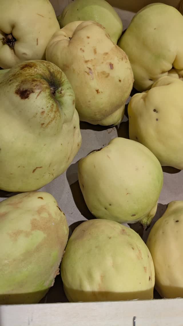 Le coing? C'est sensas! Du peps! Du goût! De la douceur! De la couleur !#lespierreslotoises #tourisminfrance #occitanietourisme #gitesetchambresdhotes #tabledhotes #coing #quinces #enjoyfood #cuisinemaison #patedecoing