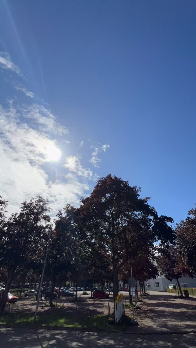 Wie jedes Jahr, hier ist Euer multimedialer Wegweiser ins Startbüro! 😌
Noch ist es nicht zu spät… Anmelden und gutes Wetter mitbringen! ☀️
✨Öffnungszeiten Startbüro✨
Fr, 12. September - 14:00 - 18:30
Sa, 13. September - 07:00 - 09:00
#laufenkommtan #pwm #pfälzerwaldmarathon #pfaelzerwaldmarathon #pfälzerwald #pfaelzerwald