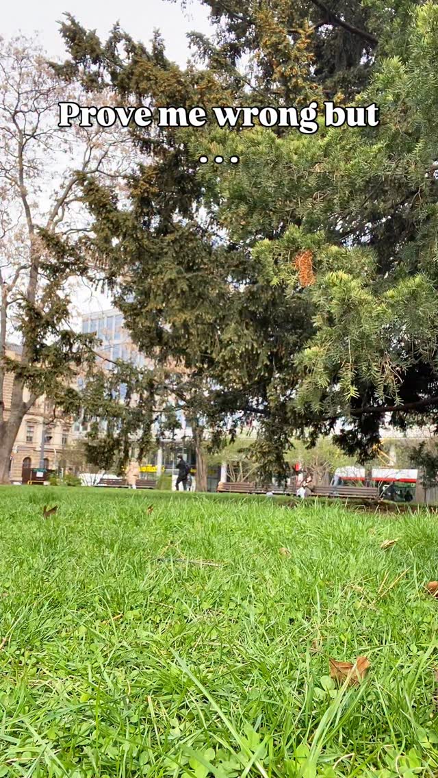 For me, it’s memories with friends 🫂, evening relaxation 🌙, and a comfy place ☕️✨
#minecraft #minecrafters #minecraftmemes #minecrafts #game #cozy #cozygames #cozygamer #gamer #games #fyp #fypシ #pixelart