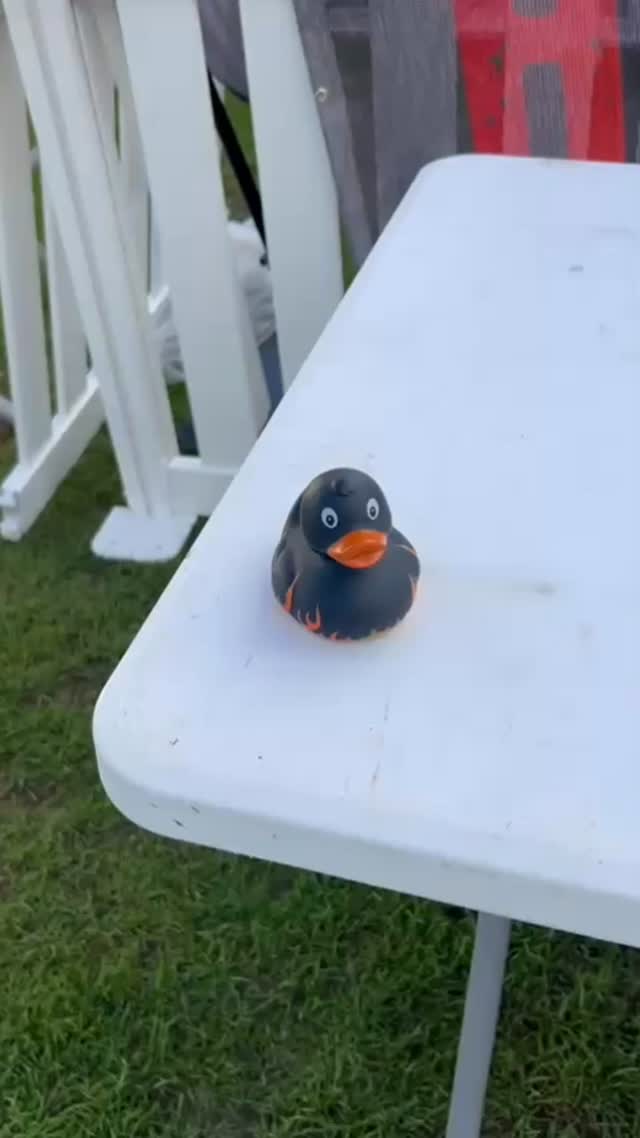 @bigbash_highwycombe kicks off TONIGHT 🍻
@hellfirebbqco locked & loaded 🌶️🔥. Who’s coming ??
#BigBashWeekend #BBQSeason #PartyTime #HellfireBBQ #weekendvibes #bbq #chefslife #bbqlovers #festivevibes