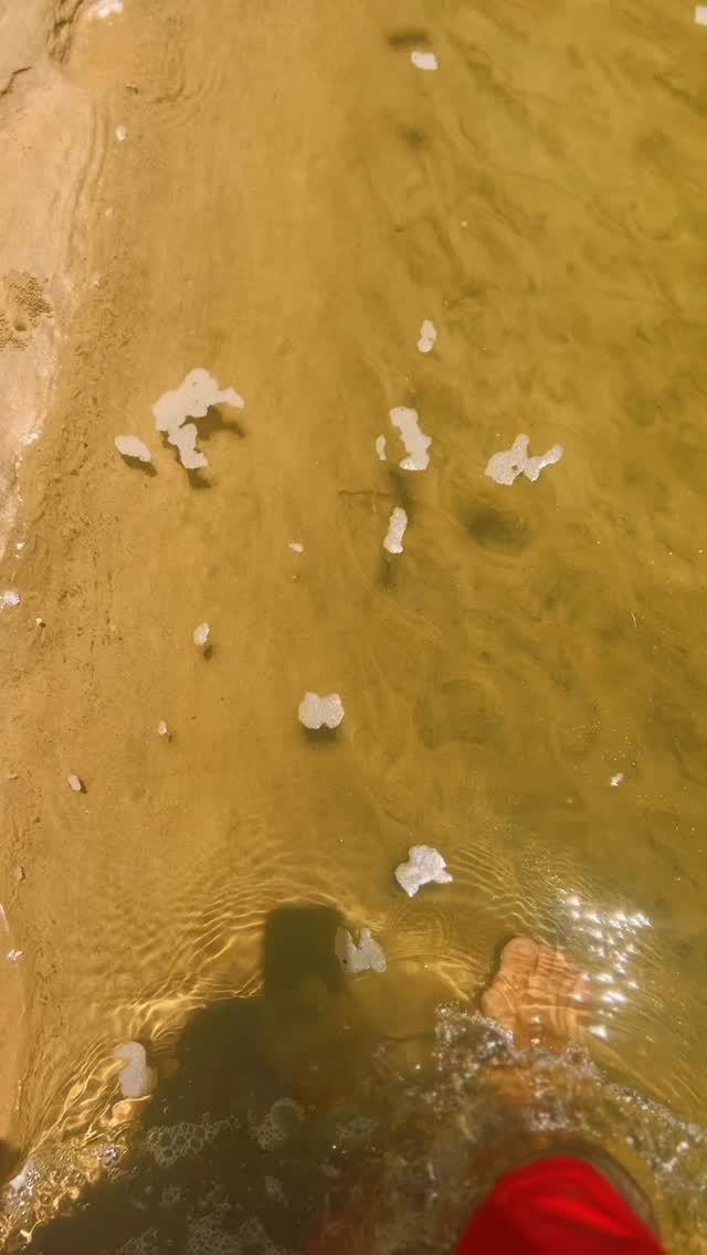 ✨ Vive Bahía Magdalena en su máxima esencia ✨
Un paseo entre dunas y manglares llenos de vida silvestre, donde el mar y el desierto se abrazan en un paisaje único 🌊🏜️.
Y claro… después de la aventura, nada como mariscos frescos de temporada 🦪🐟 que le ponen el toque auténtico a Puerto San Carlos.
🚤 Naturaleza, tranquilidad y tradición en un solo lugar.
👉 Reserva tu experiencia con Murillos Bros Adventours.
📩 Mándanos DM o mensaje por WhatsApp y arma tu tour hoy mismo.
#BahíaMagdalena #MurillosBrosAdventours #PuertoSanCarlos #Manglares #Aventura #MariscosFrescos #BajaCaliforniaSur