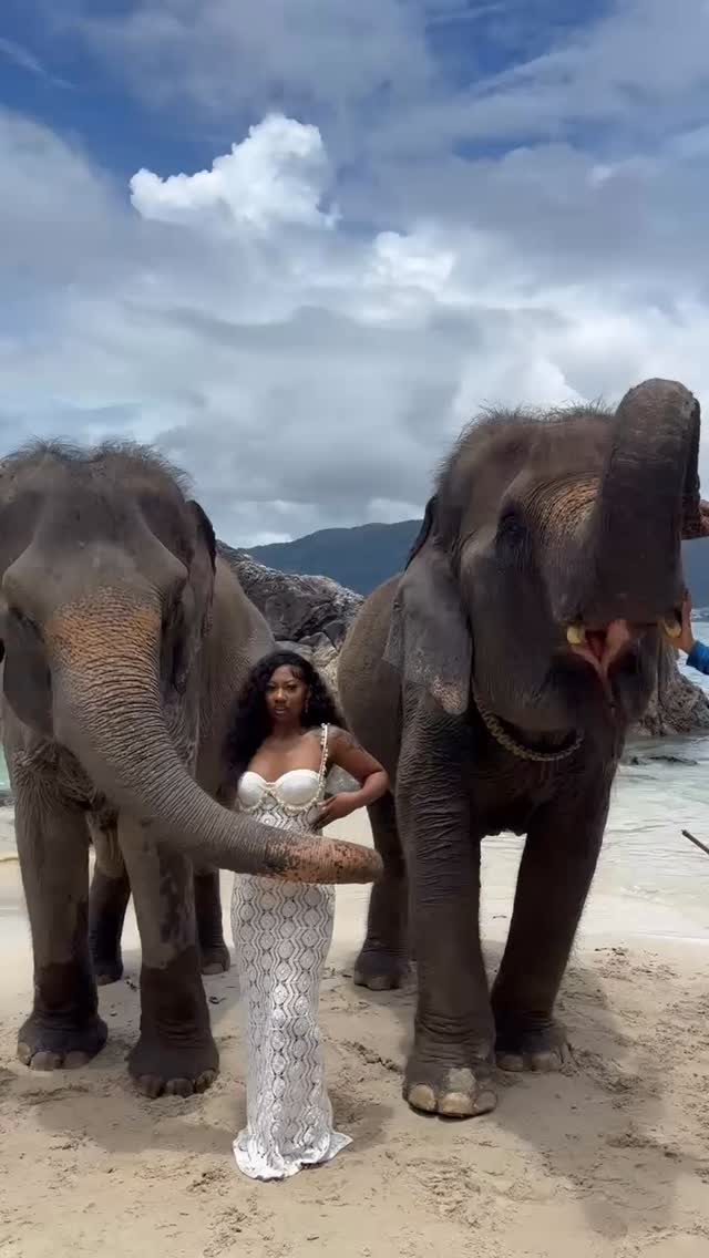 Sew Pretty is definitely worldwide…. 𝐃𝐞𝐬𝐭𝐢𝐧𝐚𝐭𝐢𝐨𝐧: 𝐓𝐡𝐚𝐢𝐥𝐚𝐧𝐝 🇹🇭. Create your memories
𝐇𝐚𝐢𝐫 𝐔𝐬𝐞𝐝 @sewpretty_extensions
𝟐𝟐+ 𝟐𝟐 𝐢𝐧𝐜𝐡 𝐈𝐧𝐝𝐢𝐚𝐧 𝐂𝐮𝐫𝐥𝐲 𝐁𝐮𝐧𝐝𝐥𝐞𝐬
𝟐𝟎 𝐢𝐧𝐜𝐡 𝐫𝐚𝐰 𝐜𝐮𝐫𝐥𝐲 𝐟𝐫𝐨𝐧𝐭𝐚𝐥
#SewPretty bundles
Like what you see….
•Double Tap •Comment •Share
𝐒𝐭𝐲𝐥𝐢𝐬𝐭: @slimhairkravingz
Quality Bundles for every budget….
Purchase Online:
🌐 www.sewprettyextensions.com
🛍️ Shop online 24/7
📦 3-7 Day Shipping
🛒 Shop Now 💵 Pay later
•
•
•
•
#televisionhair#extensions#curlyhair#indianhair#thailand#blackhair#hairstylist#tampahair#ohiohair#illinoishair#charlotte#clevelandhair#dmvhair#ohiohair#bundles#sewin#SewPretty#sewprettybabe#sewprettyextensions#pinterest#sewprettyandAmazing