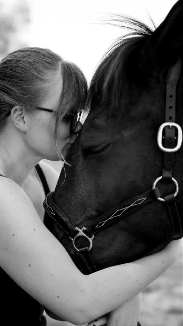 ✨ De l’atelier… à la complicité ✨
Chaque création commence entre mes mains, dans l’atelier, façonnée avec soin et passion 🖤✂️
Rouka, Ciclon et Héra m’accompagnent au quotidien. Ils sont mes compagnons, mes modèles et mon inspiration. Grâce à eux, chaque collier, bridon et licol prend vie, pensé pour allier confort, élégance et solidité.
Ces pièces ne sont pas de simples accessoires : elles sont uniques, comme les liens que nous partageons avec nos animaux 🐾🐴💛
📍 L’Atelier du Haras – créations artisanales et sur-mesure
#latelierduharas #artisanatfrancais #faitmain #complicite #collierchien #licolcheval #savoirfaire