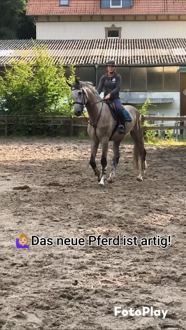 Trotz seines Alters für jeden Spaß zu haben🦄💞
5 jähriger Wallach, ca. 176cm groß
📍 Standort: Braunschweig
📩DM für weitere Informationen
Ehorses ID: 4578398