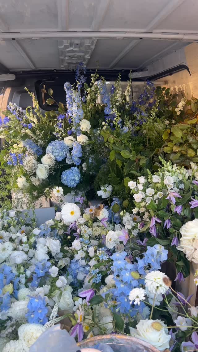 Soft blues, lilacs and little pops of lemon for Sol & Ian’s August wedding at Prestwold Hall 🤍
Light, airy, garden inspired and full of movement.
#weddingflorist #luxuryweddingflorist #prestwoldhall #prestwoldhallwedding #nottinghamflorist #leicestershirewedding #eastmidlandswedding #ukweddingflorist #gardeninspiredflorals #romanticflorals #weddingflowersideas #ceremonyflowers #receptionflowers #bridalbouquet #floraldesigner #floralstyling #modernromance #editorialwedding #fineartwedding #weddinginspo #2026bride #2027bride