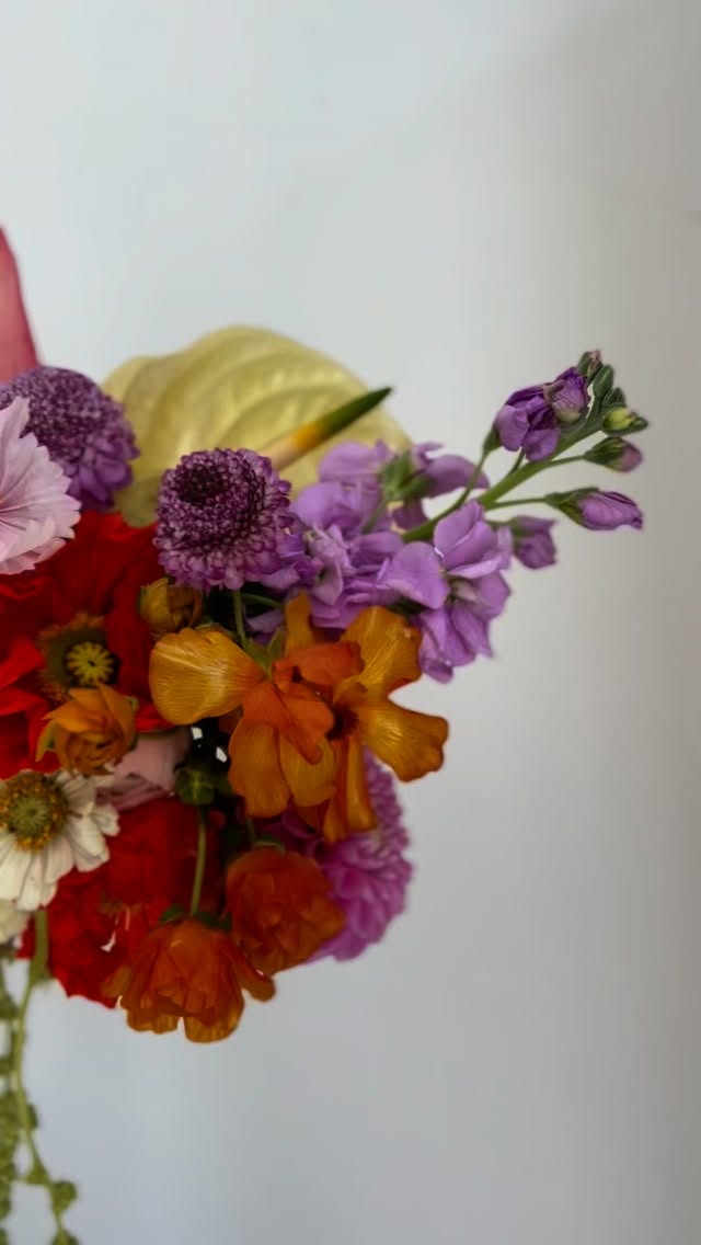 All the funnnnn for @kelsceleste 🪩🌸💖🌿🍬