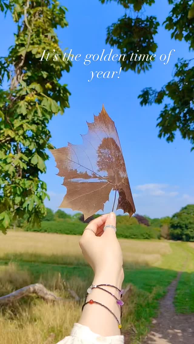 It’s the golden time of year — where even a single leaf can hold the glow of a season.🍂✨#LeafArt #NatureArt #ArtOnLeaves #CreativeArt #HandmadeArt #NatureInspired #PoeticArt #InspiredByNature #MindfulMoments