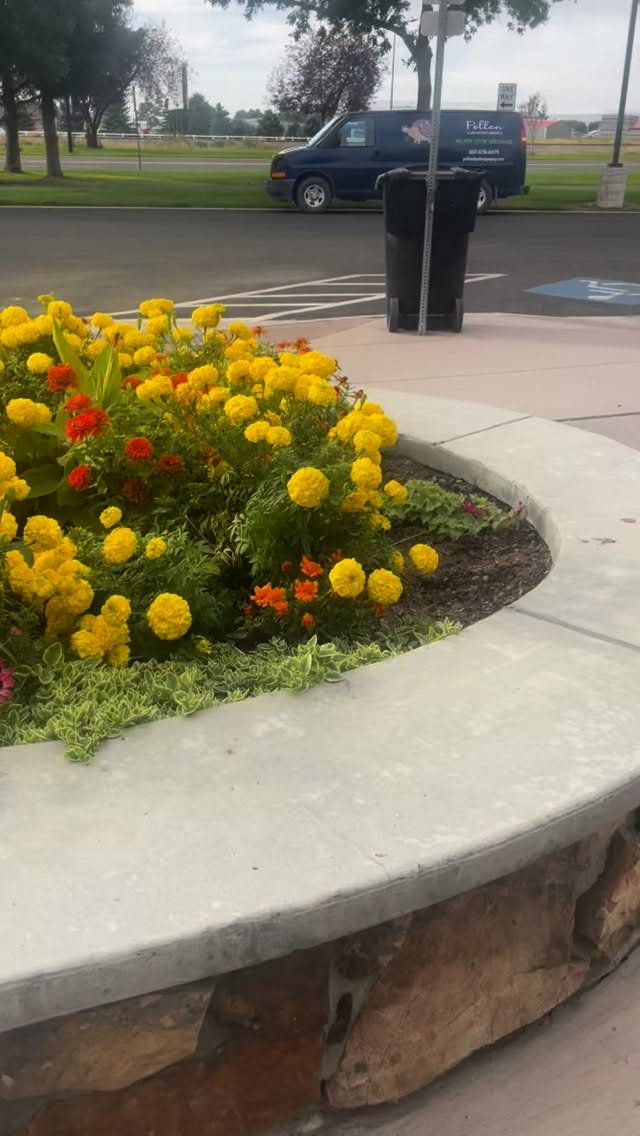 Classic colorbed in Powell-#powellwyoming #dosomethingyoulove #zone4gardening #pollinators🐝 #annuals