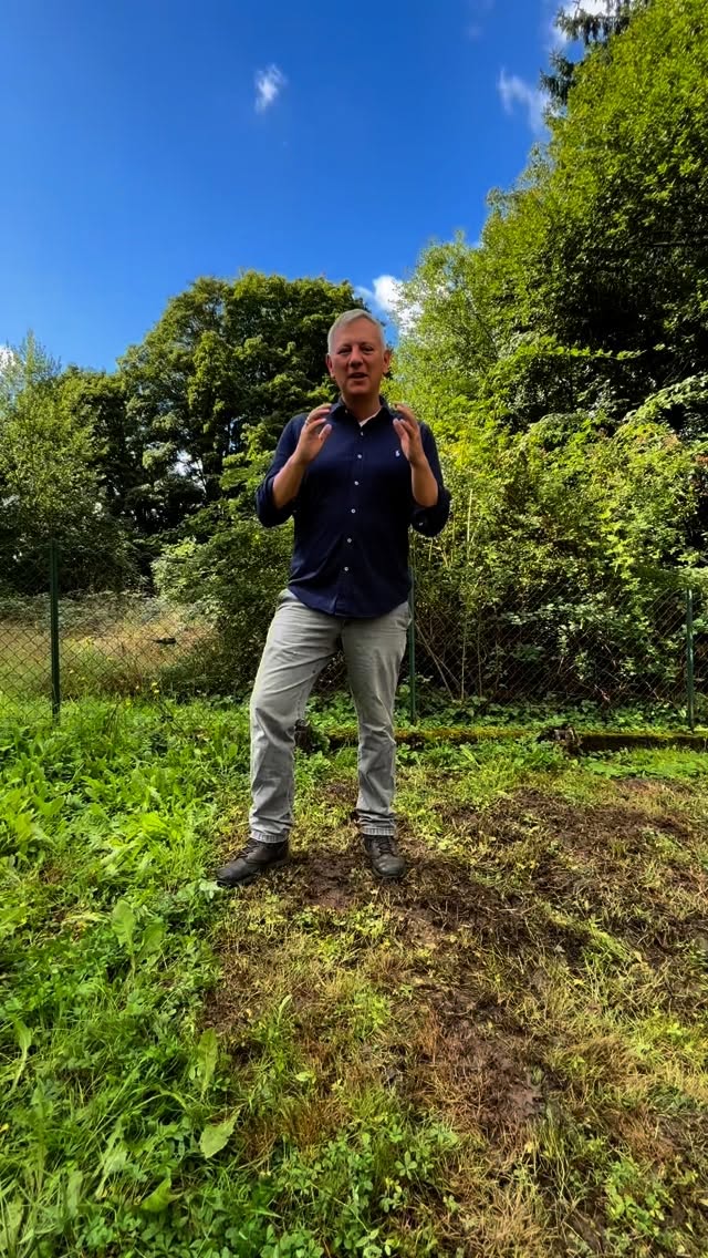 Vielen Dank an @dr.sascha.weber für die Nominierung zur Baumpflanzchallenge. Der Apfelbaum wurde pünktlich gepflanzt, aber natürlich werde ich mich trotzdem im Rahmen meiner Möglichkeiten dafür einsetzen, dass Wald-Michelbach ein Mittelzentrum werden kann 😁
Als nächstes nominiere ich unsere beiden Fraktionsvorsitzenden @wiebkesinstakram und @stefan.naas sowie den Staatssekretär @christophdegen .