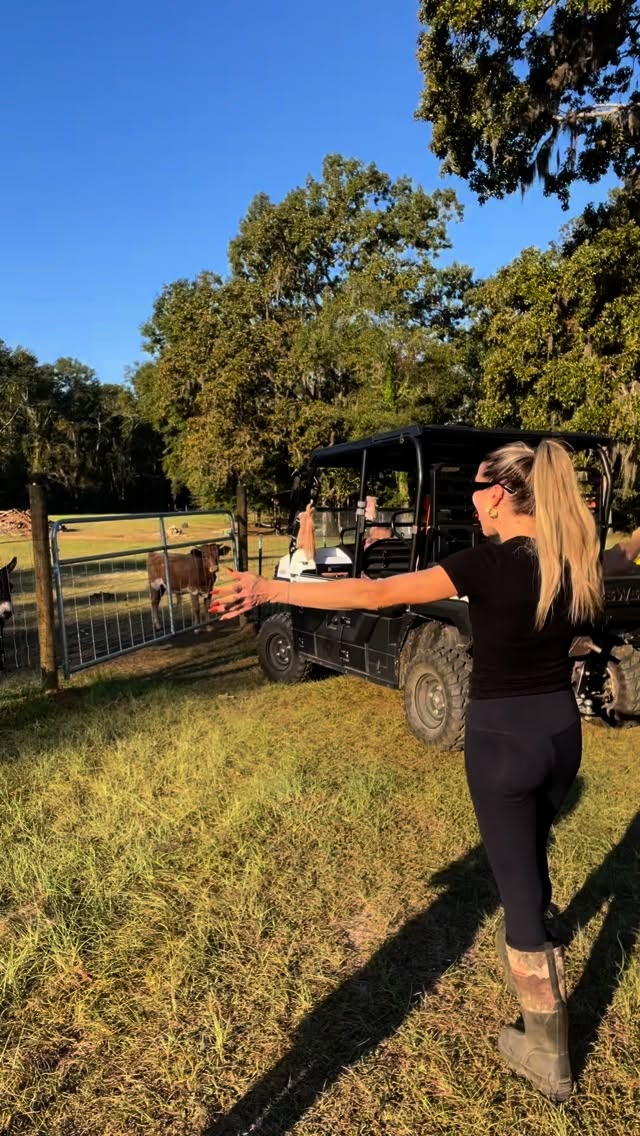 Just another MANIAC MONDAY 🎶😅
#minihighlandcow #minicows #happycow #happycowmunity #cowworld #cowsofinsta #cowlove #donkeylove #cowsarecool #cowappreciationday