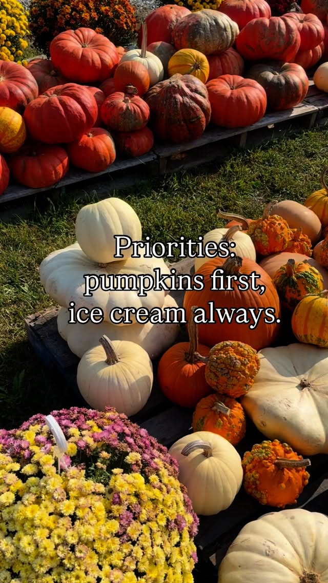✨Lockbriar Farms is basically fall in real life—pumpkins, mums, farm made ice cream, and those cozy Eastern Shore vibes we live for. Whether you’re here for the perfect pumpkin or just ‘one scoop’ (we know how that ends), this spot is a must this season. 🍁🍂🍦
Make sure to follow along as we share all our favorite fall stops on the Shore!
#moreontheshore #easternshorelife #easternshoremd #marylandblogger #marylandeasternshore #marylandbusiness #fallseason #easternshoremdfarms