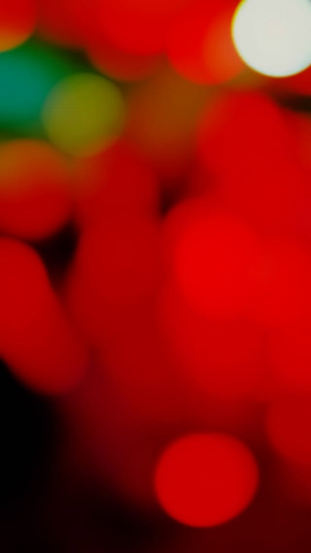 ✨ Looking for the perfect soundtrack to your big day? 💍🎶 Little Red Wedding Band bring the energy, the hits, and the magic to make your wedding unforgettable! ❤️
#LittleRedWeddingBand #ScottishWedding #WeddingBandScotland #LiveMusic #WeddingEntertainment #BestWeddingBand