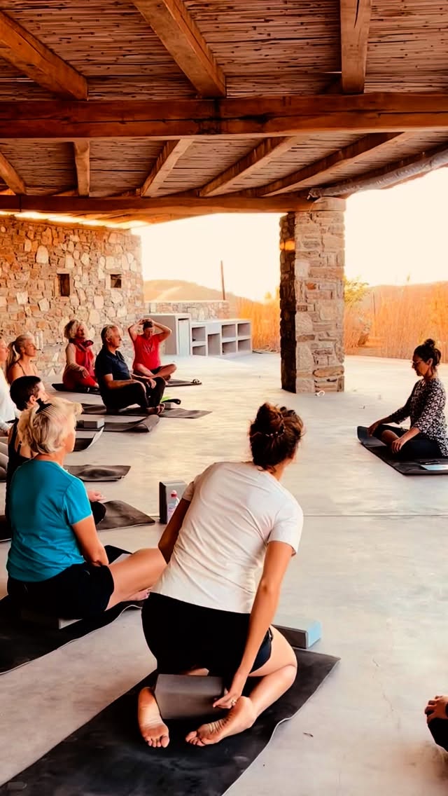 Quelle semaine ! Notre retraite yoga avec @verohanoteauyoga a dépassé nos attentes et nous repartons le ❤️rempli de bonheur.
Nous nous sommes ressourcés grâce au yoga 🧘🏻 et à la méditation matin et soir, avons découvert des plages désertes, nous sommes baignés dans des eaux cristallines, et avons savouré la cuisine grecque de notre très bel hôtel.
Que d’échanges riches, de fous rires, de marches sous la pleine lune, de moments de partage précieux. C’est avec un pincement au cœur que nous quittons l’île de Serifos. Une dernière soirée à Athènes sera la petite cerise sur le gâteau avant de quitter ce groupe unique.
Merci Veronique pour ces séances extraordinaires de yoga, merci Veronique Guyot pour l’initiation à ennéagramme www.veroniqueguyot.com/ennéagramme , merci Aurélie, Martine, Nicolas, Agathe, Leah, Cynthia, Vanessa, Rosalie, Nathalie, Emma, Carole, Alexandra, pour votre présence et d’avoir rendu cette retraite si belle. Nous repartons tous plus riches et ressourcés.
Merci la Grèce. Merci la vie. #retraiteyoga #yoga #serifos #meditation #cyclades_islands #september #greeceoffseason #yogagreece #retraiteyogagrèce #retraiteyogaderêve
