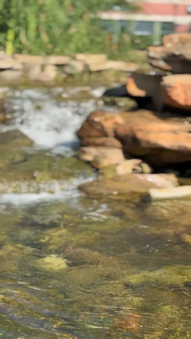 ✨ En Dicare Yú creemos que tu rutina de cuidado de la piel es un regalo para ti mism@.
Por eso seleccionamos ingredientes naturales con conciencia, para acompañarte en esos momentos donde cuidas de tu piel y también de tu esencia. 🌿💆♀️💜
#DicareYu #HechoConAmor #HerbolariaMexicana #BellezaNatural #CuidadoConsciente #ProductosArtesanales #RaícesMexicanas #CuidadoDeLaPiel #NaturalSkincare #PielFeliz
⸻
📌 English
✨ At Dicare Yú, we believe your skincare routine is a gift to yourself.
That’s why we carefully choose natural ingredients with awareness, to be part of those moments where you take care of your skin and also your essence. 🌿💆♀️💜
#DicareYu #MadeWithLove #MexicanHerbalism #NaturalBeauty #ConsciousCare #HandcraftedProducts #MexicanRoots #SkinCareRoutine #CleanSkincare #HappySkin