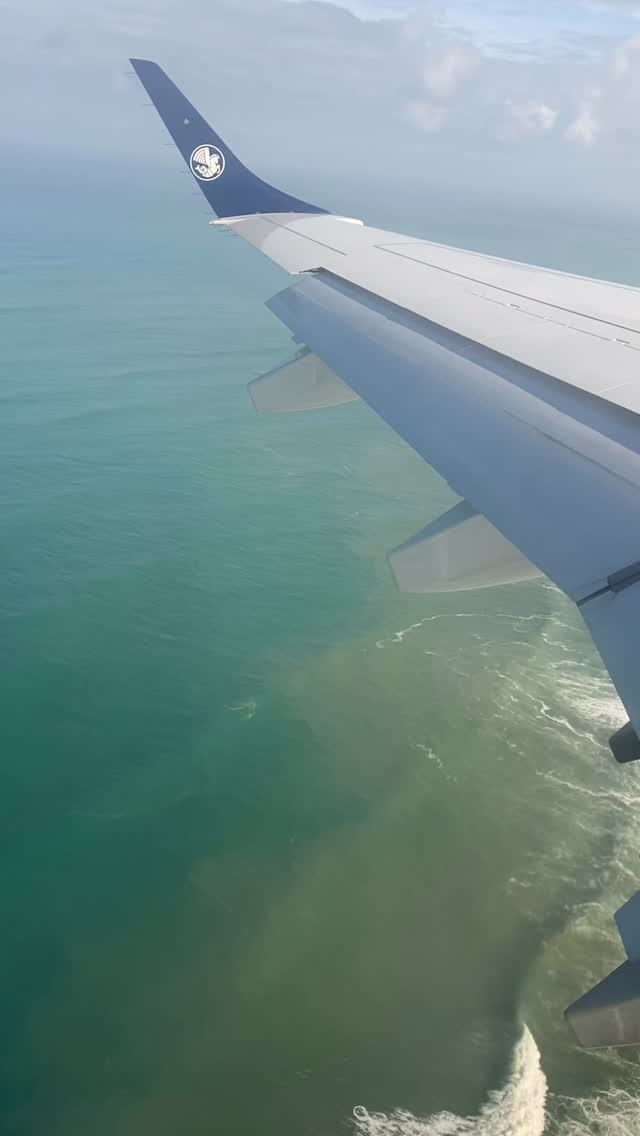 Voici à quoi ressemble une arrivée sur Biarritz ✨🤙 Surf report en direct avant même de récupérer les valises 😉🏄🏽♂️
#surfing #biarritz #xirimirisurf #paysbasque #airfrance #surfreport #landing