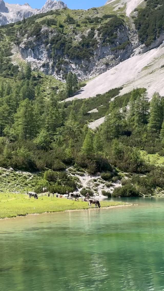 Dafür bin ich kommende Woche auch in St.Moritz und im Oktober wieder in Hamburg und ganz Neu auf Sylt. Ich bin sehr happy dass ich all dass Neue vorbereiten darf. Shoots dürfen natürlich in allen Orten gebucht werden oder auch fûr kommendes Jahr vorgemerkt werden.
Wo sehen wir uns 2026? Verrate es mir !
#nextadventure #neueziele #dokumentarischefamilienfotografie #fineartportrait