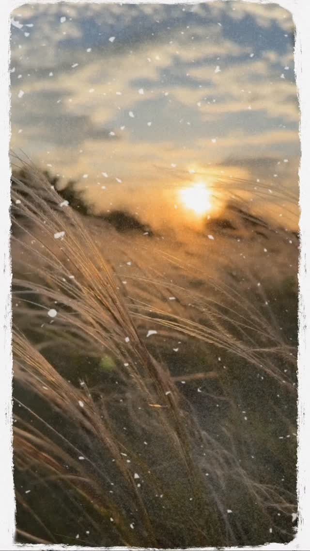 The Ho'oponopono prayer, heard of it? If not, you need to add it to the file!
A transformative practice, it's used to restore harmony and make things right within your relationships- with others, with yourself, ancestors, deities, and the earth.
When to use it-
Any time you feel triggered, upset, angry with someone (including yourself), powerless to change a situation, guilty about making a decision, repeating patterns in relationships or finances, deep grief or sadness.
How to do it-
Sit quietly. Breathe and say the 4 phrases slowly..
I'm sorry,
Please forgive me,
Thank you,
I love you.
Feel the words. Let them land. You really don't need to try and forgive or do anything, you just need to let the energy do its thing.
Repeat saying or chanting the words for a few minutes and then let it all go...
Trust that the healing has begun, even if you don't see immediate results. ✨✨✨
Let us know in the comments if you've tried this practice before, we'd love to hear your experiences!
#recalibrate #findingpeace #calm #balance #ᴛʀᴜsᴛᴛʜᴇᴘʀᴏᴄᴇss #breathe #projectrecalibrate