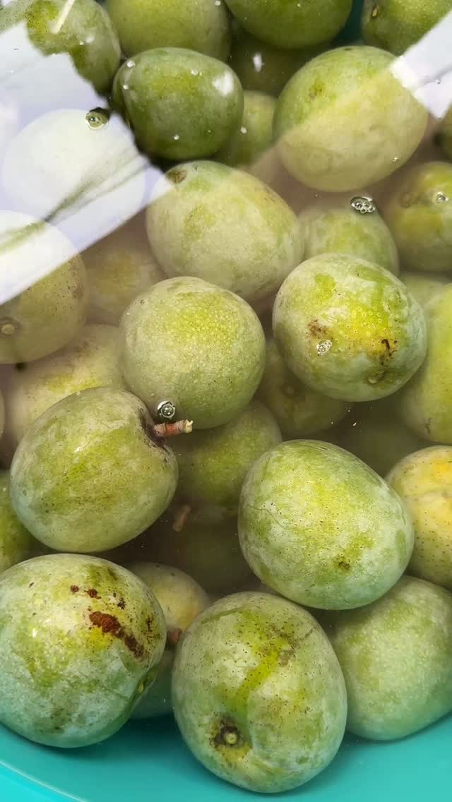 Boost your immunity with the natural goodness of Ramkela Mango Pickle, packed with antioxidants.
A spoonful of heritage, made with natural ingredients for a healthy and delicious experience.
Nourish your digestive system with the traditional blend of spices in our Ramkela pickle.
#RamkelaMangoPickle #IndianPickle #Achar #SpicyFood
#TraditionalFood #mangopickle
Shop now - https://www.gourmistdelight.com/