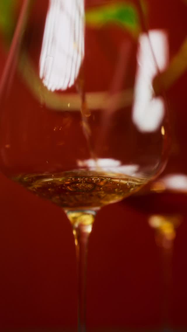 Tra un brindisi e un sorriso, da Rabarè c’è sempre qualcosa da scoprire.
Cocktail, NoLo, Vino, cucina… e l’atmosfera che fa la differenza.
#Rabarè #TorinoByNight #CocktailBarTorino #WineLoversTorino #AperitivoTorino #DrinkWell #TorinoCocktail #WineAndFriends #TorinoLife #GoodVibes