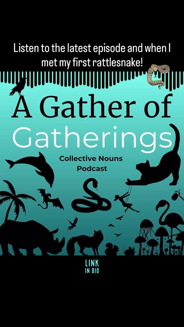 The Day I Met a Rattlesnake
🎙️ I heard the rattle before I saw her.
This is the sound of my first real encounter with a rattlesnake — and the moment I understood why they’re called a rhumba.
It’s not just the danger… it’s the rhythm.
This story slithers into Episode 3 of A Gather of Gatherings — where language, myth, and instinct gather underfoot.
🎧 Listen to the full episode:
https://www.buzzsprout.com/2425738/episodes/17519463-03-a-gather-of-gatherings-a-rhumba-of-rattlesnakes-reckonings-and-rhythms
💬 Have you ever met a rattlesnake in the wild? Tell me below.
🧠 Stick around for facts, poetry, and metaphorical skin-shedding.
#RhumbaOfRattlesnakes #FirstRattlesnakeEncounter #RattlesnakeSounds #NaturePodcast #WildlifeAudio #CollectiveNouns #GatherOfGatherings #PoeticNature #SoundStorytelling #PodcastReel #MuseAndEcho #SnakesOfInstagram #RattlesnakeWarning