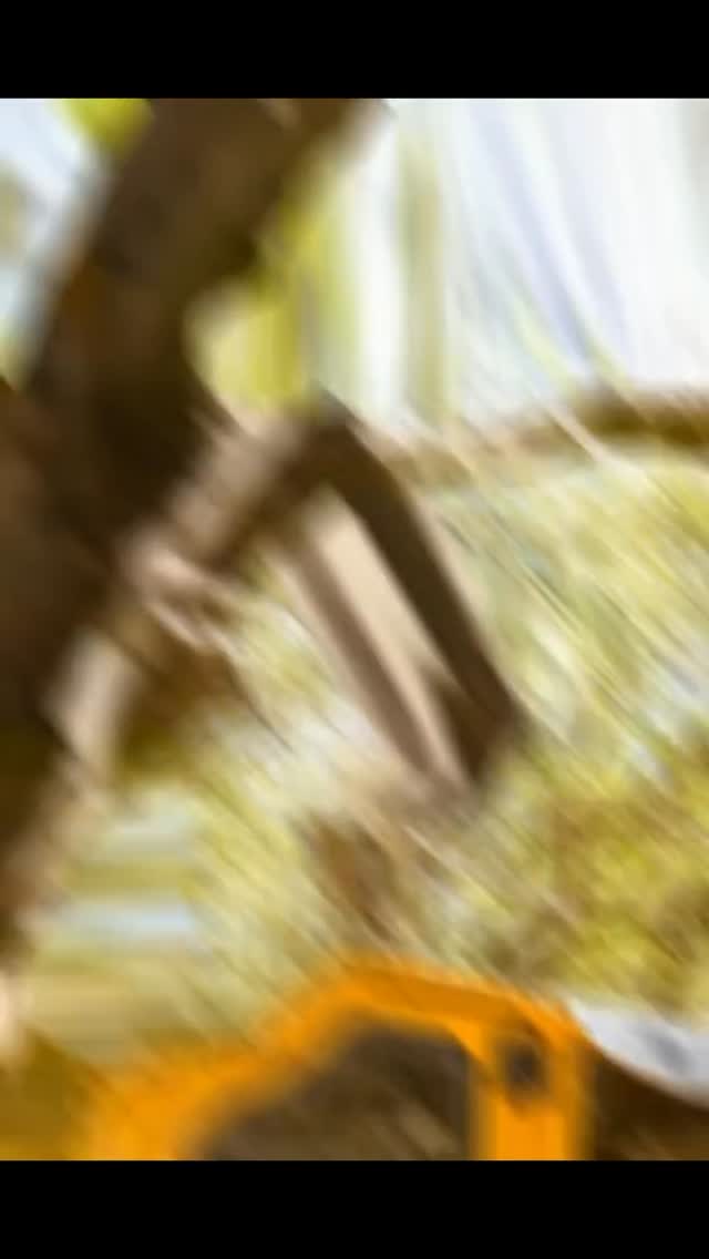 A look into this season!🌳 #almondharvest #treebarber #spreading #topping #hedging #customharvesting #treecare #orchardcare #healthytrees