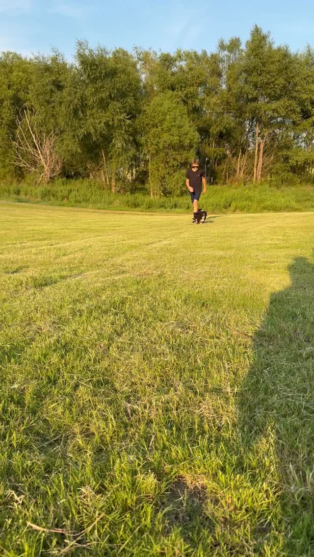 Sake (yellow) is a 10 week old Tri Colored Mini Multi Generation Bernedoodle from Grace + Bernie’s Japan litter. Not only is she absolutely beautiful, her temperament is excellent as well. She’s truly the whole package. She’s confident, independent and aims to please. If you’d like more information on her, let us know!
#Bernedoodle #BernedoodlePuppy #BernedoodleBreeder #BernedoodlesOfInstagram #MiniBernedoodle #StandardBernedoodle #BernedoodleLovers #BernedoodlePuppiesForSale #TexasBernedoodles #DFWPuppies #BernedoodleUSA #PuppiesNearMe
#PuppyGram #InstaPuppy #DoodlePuppy #DoodleOfTheDay #Dogstagram #PuppyOfInstagram