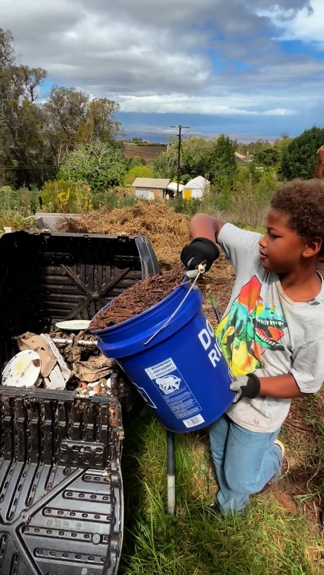 Unlike simply collecting mulch for the compost bin, gathering worms for vermicomposting takes our learning and stewardship a step deeper. By working with worms, we create living compost that breaks down food scraps and farm waste into rich, nutrient-dense soil. This process not only teaches keiki about natural cycles and soil health, but also instills a sense of responsibility to care for the farm in a holistic way. Vermicomposting turns what might be “waste” into abundance, showing that when we partner with nature—down to the smallest creatures—we nurture both the ʻāina and ourselves.