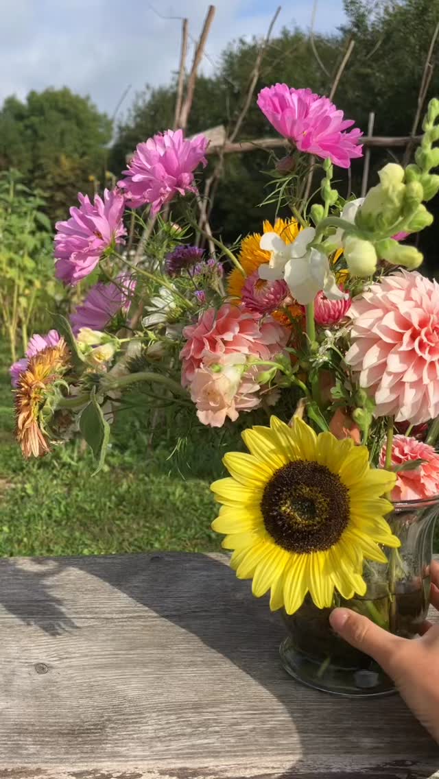 Better together ♥️🌸😍💕 det gælder også for blomster 👍🌞 Her er hvad I kan finde i pluk-selv marken for tiden.