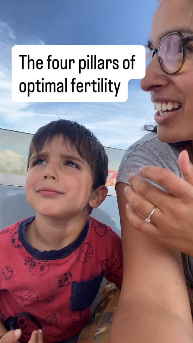 When we’re working with couples who have been struggling to conceive, we often find there’s significant disruption in all 4 of these domains.
Life is busy so they’re eating ultra-processed prepared foods packaged in hormone disrupting forever chemicals and plastics, pooping only twice a week and living with a lot a stress and anxiety.
Lots of us end up in this place from time to time, but if it’s prolonged, it can be a huge barrier to normalizing (and then optimizing) reproductive health.
#infertility #preconceptioncare #holistichealth #functionalmedicine #womenshealth