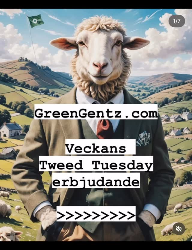 Välkommen in till GreenGentz.com!
Föreställ dig en kavaj som förenar brittisk tradition, slitstyrka och sofistikerad stil – det är precis vad du får i denna preloved tweedklassiker från Dunn & Co. Med sina rötter i Birmingham har varumärket i generationer förknippats med gentlemen’s sporting wear, från eleganta tweedkavajer till jaktjackor. Den här kavajen är ett praktexempel på deras arv: sydd i 100 % ull, vävd i rika toner av rött, grönt, blått och brunt, och med en dubbel slits baktill som ger både komfort och rörelsefrihet. Resultatet är ett plagg med lika mycket karaktär som elegans.
Tweed är inte bara ett tyg, utan ett stycke kulturarv som formats genom generationers hantverk. Dess främsta egenskaper gör att plagget inte bara står för stil, utan också för funktion och hållbarhet:
- Slitstarkt: vävt för att tåla generationers användning.
- Vädertåligt: skyddar och värmer även under tuffa förhållanden.
- Tidlöst: en självklar klassiker som aldrig går ur stil.
Hos Green Gentz lyfter vi fram herrkläder av högsta kvalitet – plagg med själ, historia och karaktär. Vårt fokus på preloved mode handlar om att bevara hantverk, värna miljön och låta stil leva vidare. När du väljer ett plagg från oss får du inte bara tidlös elegans – du blir också en del av en hållbar tradition.
#secondhand #tweed #preloved #herrmode #menswear #vintageclothing #greengentz #mensfashion #göteborg #sverige #stockholm #harristweed