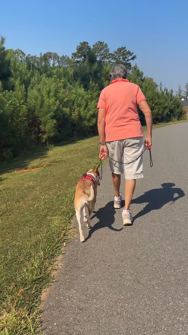 ✨ Why I love private lessons ✨
Private lessons are one of my favorite programs because they allow me to:
🐾 Work one-on-one with you and your dog
🐾 Personalize training to fit your lifestyle & goals
🐾 Give you the tools and confidence to keep progress going at home
I get to watch the bond between dogs and their people grow stronger each week and that’s what training is all about.
Whether it’s leash manners, basic obedience, or tackling bigger behavior struggles, private lessons give you the skills to see real results while keeping training fun and effective.
📲 Ready to get started? Message us today to schedule your first private lesson and let’s make training a team effort!
#dogtrainingatlanta #dogtrainingprivatelessons #purplepupsatl #atlanta