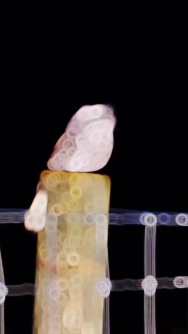 Just another day at Jarrah Glen! Poorly baby goat🐐, crazy baby Emu … and a dog 🐶that wants to adopt all the baby animals 😂
#wildinourheart #farmstay #farmstays #southwestwa #tourismwa #weekendgetaway #westernaustralia