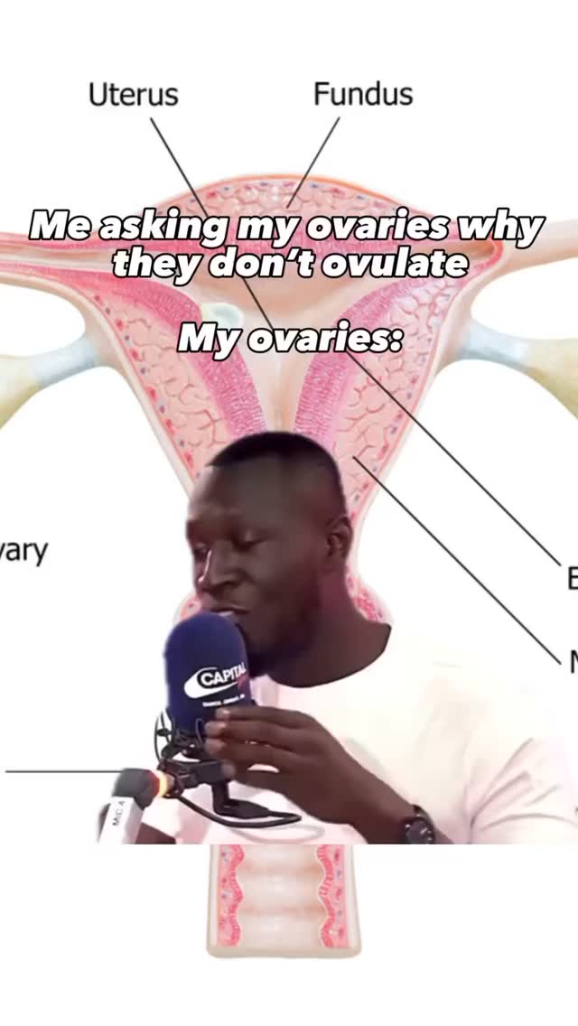 Hands up if you’ve ever felt personally victimised by your ovaries? 🙋🏽♀️
In us Cysters high testosterone, high stress hormones and low SHBG can suppress our ovulation and as frustrating as it can be, this lack of ovulation is a clear message that we have to work on blood sugar balanace, stress reduction, building muscle and optimising sleep (amongst other things).
Do you ovulate regularly or is ovulation always a welcome surprise? Let me know 👇🏽