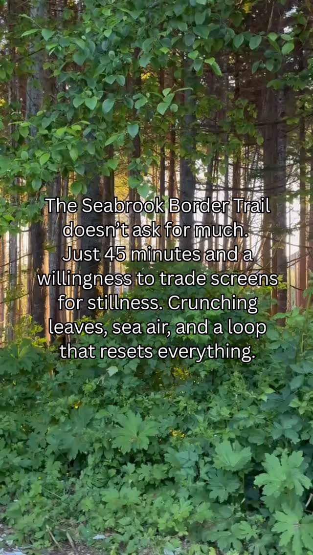 Parents, partners, friends... we all get caught up in the rush. But the Seabrook Border Trail has a way of slowing you down without asking permission.
🚲 Take the loop. Breathe in the salty breeze. Let your kids race ahead or ride beside you. Sometimes adventure isn’t big, it’s just consistent. 💨
RECOMMENDED RIDE: Hybrids or Mountains Bikes, Farley
#pnwadventures #pnwlife #seabrookwa #familyadventures #pnwonderland