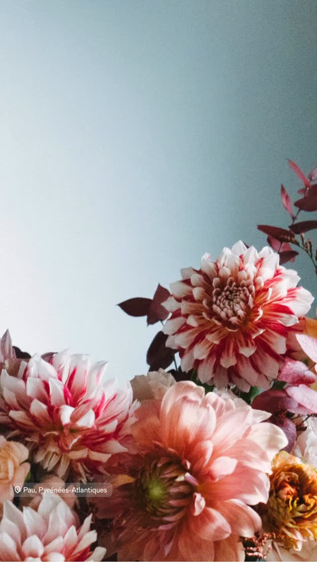 #orvegetal #artisanfleuriste #fleuristepau #paumaville #ateliercreatif