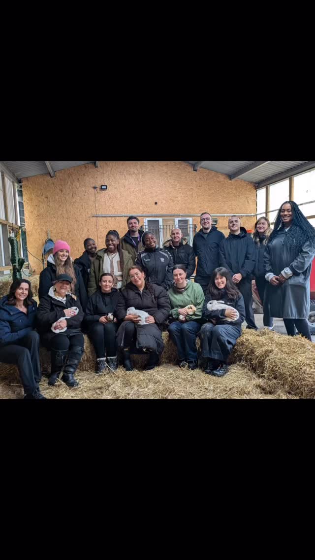 Team Building = Smiles all round for Salford
Youth Foundation 😊🙌🏽
#teambuilding
#teambuildingcheshire #cuteworkday #fyp #woodlandsalpacafarm #cheshirefarm #pettingfarm #alpacawalking #alpacafarm #funday #teambuildingideas #workdayout
