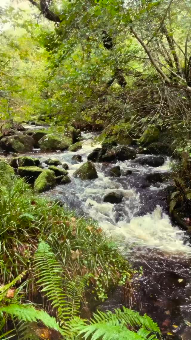 @cabillacornwall took my heart at first glance. But the people, they are the soul of it all. ❤️❤️ #teamcabilla @_____sienna @lizziehanburyt @kaz.baptiste2 @merlinhanburytenison @townend.elise @themindfulchefette ❤️❤️