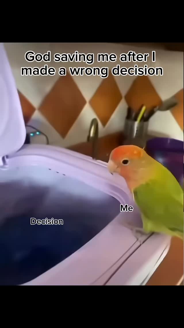 #catholicmemes #faithwithhumor #surrendertogod #trustingod #godsplan #faithoverfear #holyspirit #godisincontrol #surrendertogod #walkbyfaith #faithjourney #letgoletgod