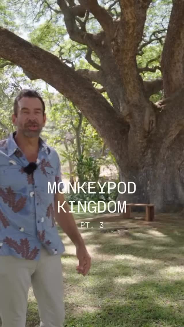 Custom fine furniture + Hawai'i wood milling on the North Shore of O'ahu.
@lyric_woodwork
He looked great in that monkeypod shirt!!!
Thank you for choosing a plus aloha shirt.
The furniture he makes using Hawaiian wood is amazing!!!
#lyricwoodwork #hawaiianfurniture #plusaloha #hawaiianfashion