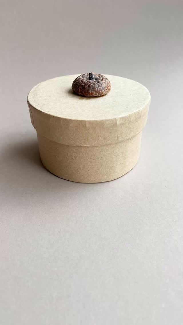 Spielerisch die Natur entdecken!
Unser Eichelhütchen Memory-Spiel bringt nicht nur Spaß für die ganze Familie, sondern schult auch spielerisch Konzentration & Gedächtnis.
Handgemacht aus natürlichen Materialien 🍃 – nachhaltig, einzigartig & voller Liebe zum Detail. Perfekt für Kinder, Familienabende oder als besonderes Geschenk. Entdecke auch noch vieles mehr in unserem Onlineshop Link in Bio.
#Nachhaltig #Naturspielzeug #Waldorferziehung #SpielendLernen #NachhaltigeGeschenke #HandgemachtMitLiebe #Familienzeit #SlowParenting #EichelhütchenMemory