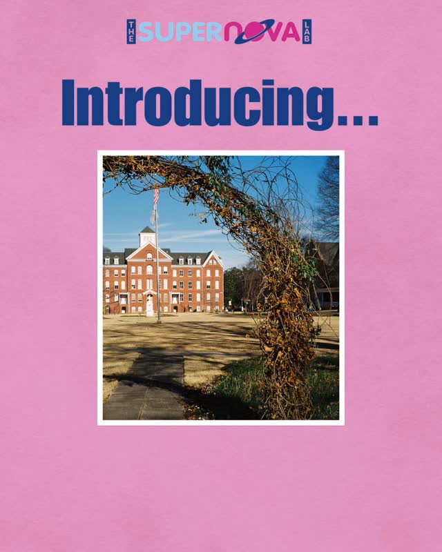 Alexia Nwankwo is a sophomore Biology major with a minor in Dance Performance and Choreography, pursuing the pre-med track. Originally from Cleveland, Ohio, she is passionate about maternal health, rural healthcare, and equitable access to medical resources. Her research interests include exploring health disparities in maternal and child health. After graduation, she plans to attend medical school and pursue a career in radiology. Welcome to the lab Alexia!