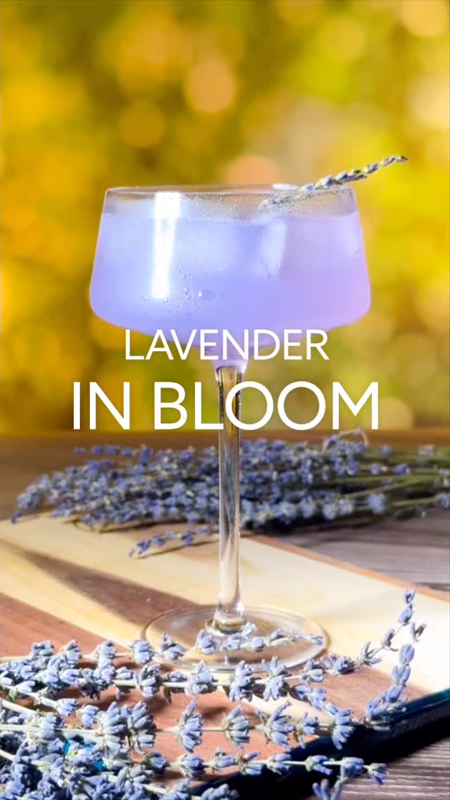 ✨ Lavender in Bloom ✨
It’s Thursday, you’re pushing through, and this floral fizz is the soft reset you didn’t know you needed 💜🌸
🌿 You’ll need
– 2 oz pear nectar
– 1 oz lavender syrup
– ½ oz lemon juice
– Sparkling water
– Ice
✨ How-to
Shake pear nectar, lavender syrup, and lemon juice with ice → strain into a glass with fresh ice → top with sparkling water → garnish with a lavender sprig or lemon wheel 🍋🌿
Light, floral, and just enough sparkle to carry you through the week.
👉 Save this recipe for your next mid-week pick-me-up!
💬 What’s your go-to Thursday ritual? 👇
#LavenderMocktail #FloralDrinks #MocktailHour #EasyMocktails #NonAlcoholicDrinks #SipAndSavor #TheCasualSipper #DrinkInspo #HomeBartender #MocktailRecipes