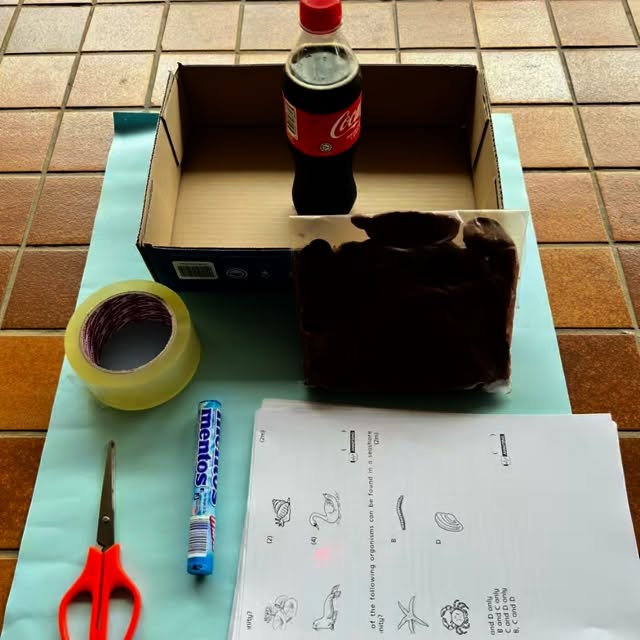 🌋 STEM in Action: Coke & Mentos Volcano 🌋
Our students turned science into an explosion of fun as they built their very own volcano models from clay and strap paper. Once their structures were ready, the real excitement began — dropping Mentos into bottles of Coke to watch a foamy eruption shoot skyward!
Through this activity, the children explored science in motion, discovering how the porous surface of Mentos rapidly releases carbon dioxide from the Coke to create the spectacular eruption. They also stepped into the shoes of engineers, carefully designing sturdy volcanoes to hold the bottles in place, while applying math to measure the height and distance of the eruption and compare results.
This was more than just a thrilling moment — it was a chance for our learners to see how everyday items can model natural phenomena, and how creativity, curiosity, and teamwork can bring STEM concepts to life in unforgettable ways.
✨ Did this remind you of a science experiment you loved as a child? Drop a ❤️ if you’d love to see your child experience hands-on STEM learning like this, and share in the comments what experiment you’d want them to try next!